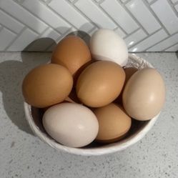 Fresh Eggs local - Huevos Frescos - Organic