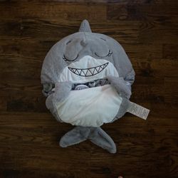 Sleeping Bag And Pillow