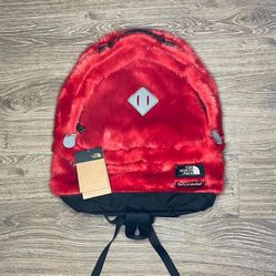 Red Supreme X Northface Backpack