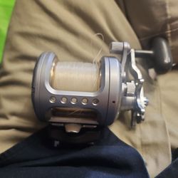 Daiwa Saltist 40 Clean Saltwater Reel 