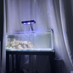 Rimless 20 Gallon Long Tank With Stand And Filter 