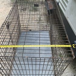 Dog Cage 