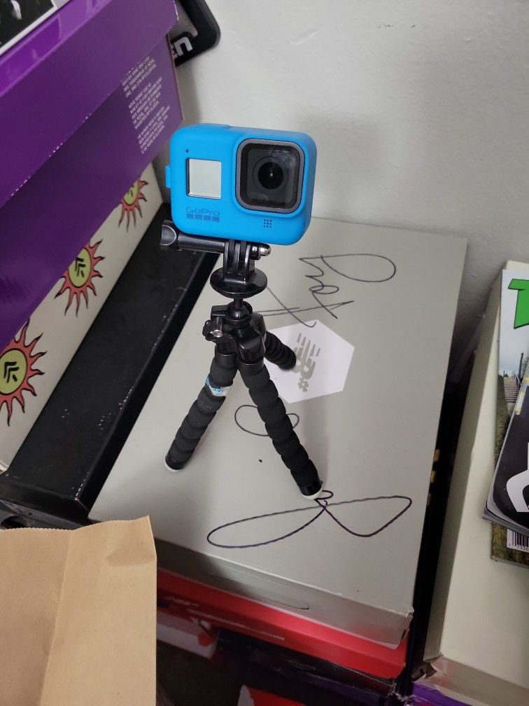 Go Pro