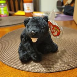 TY The Beanie Babies 2000 Cinders The Black Bear New With Tag 