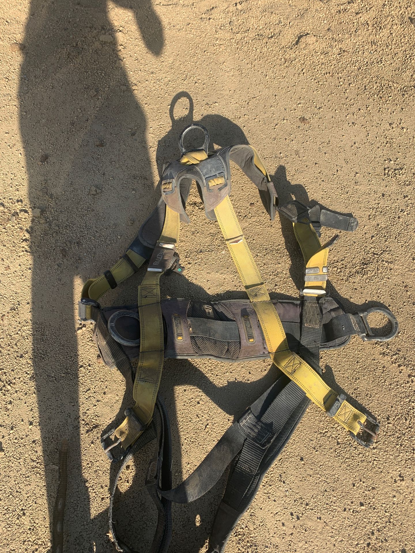 Harness