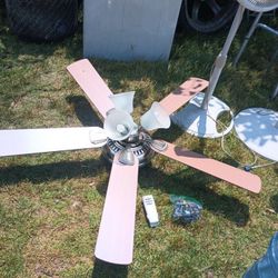Ceiling Fan with Remote