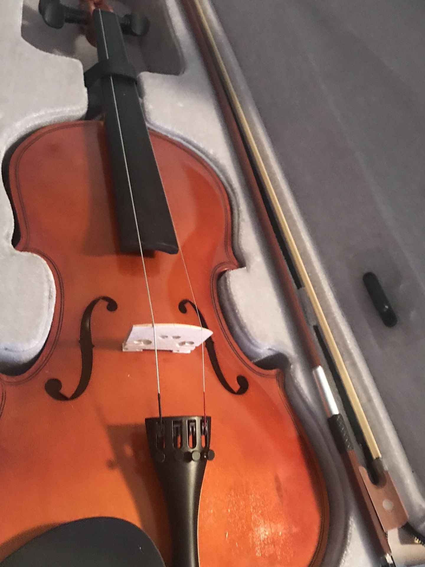 Beautiful Violin And Case