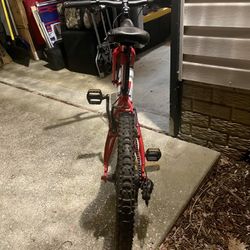 Trek Youth Mountain Bike 