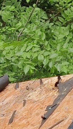 Roofing/shingles