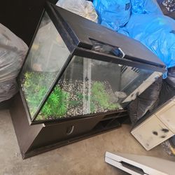 Pesera Fish Tank