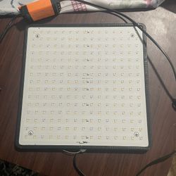 Grow Light