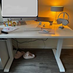 NEW Flexispot E7 Pro White Standing Desk