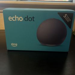 Echo Dot