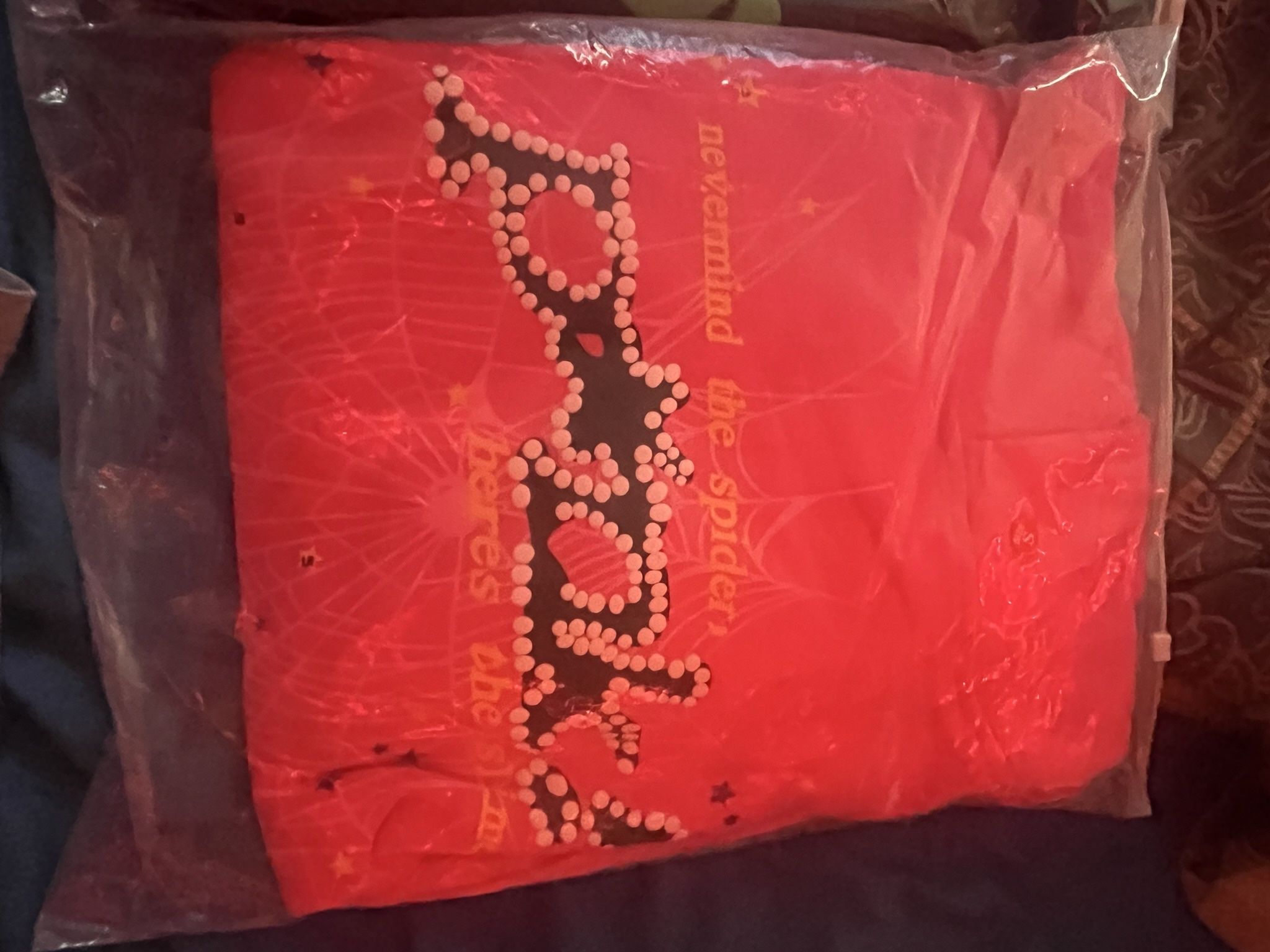 Pink Spider Hoodie ππ·