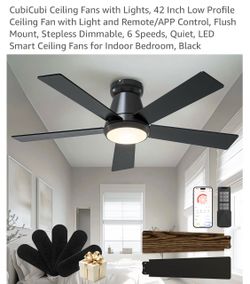 LED ceiling fan
