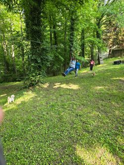 200 foot zip line cable with trolley seat and brake