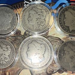 (6) 90% Silver Morgan Dollars 