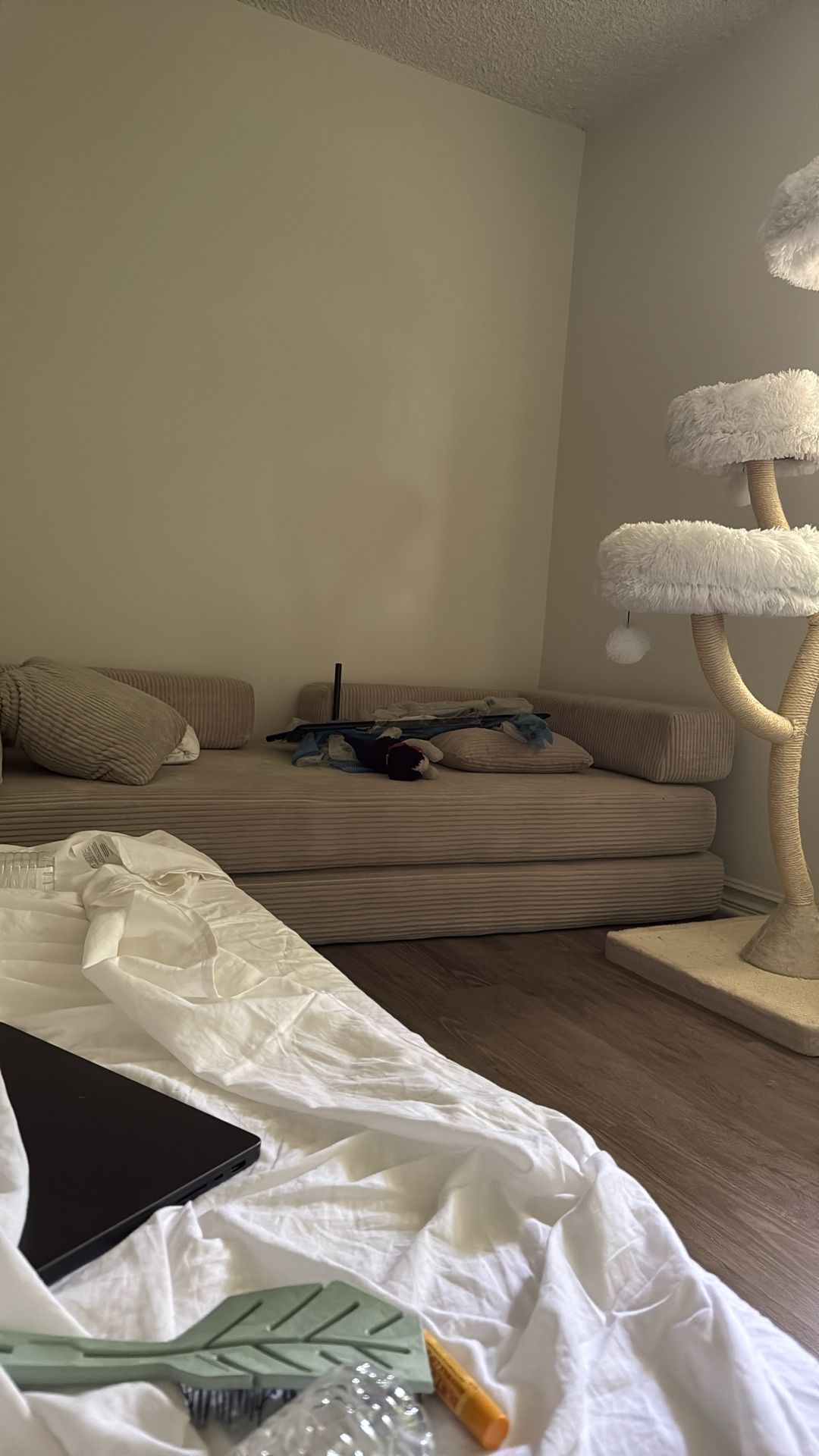 Brand New Couch