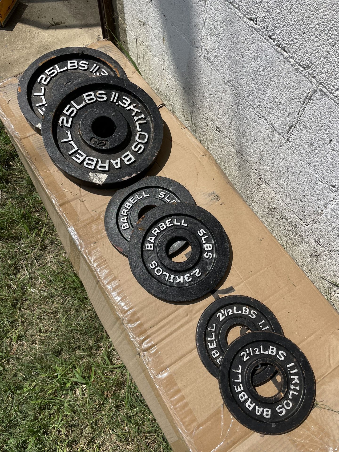 65LB Olympic Weight Set