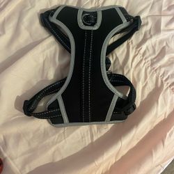 Small dog harness + a free medium dog collar