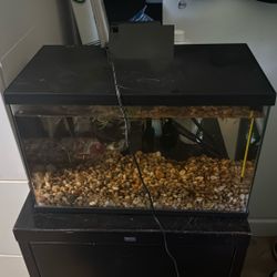 3 Gallon Fish Tank 