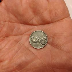 Steel Penny 