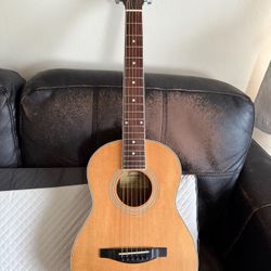 Eastman GTG6 Travel Parlor Size Acoustic Guitar