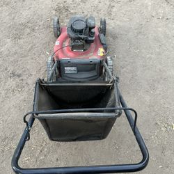 Gas Lawn Mower with Catcher