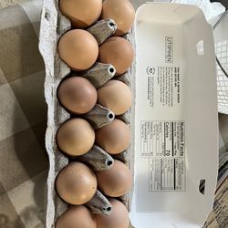 Fresh Farm Eggs Pasture Raised 