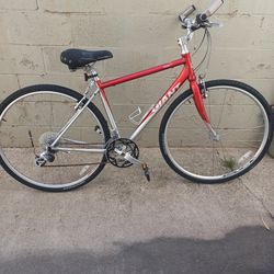 GIANT size 700 speed 24 frame 17