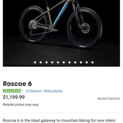 Trek Roscoe 6 Mountain Bike