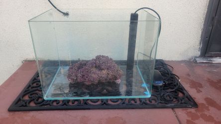 Glass Aquarium Tank with Heater and Live Rock