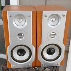 10 Inch Speakers