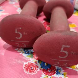 Pair Of 5lb Hand Weights Pre Owned $16