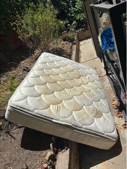 Full Size Mattress - Free - Sealy