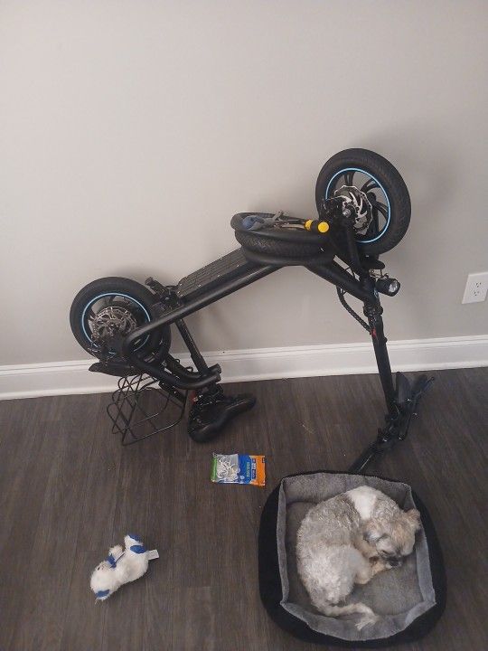 Sit DOWN SCOOTER LOW PRICE