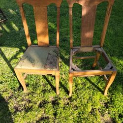 Antique Chairs 