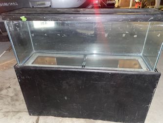 Fish Tank