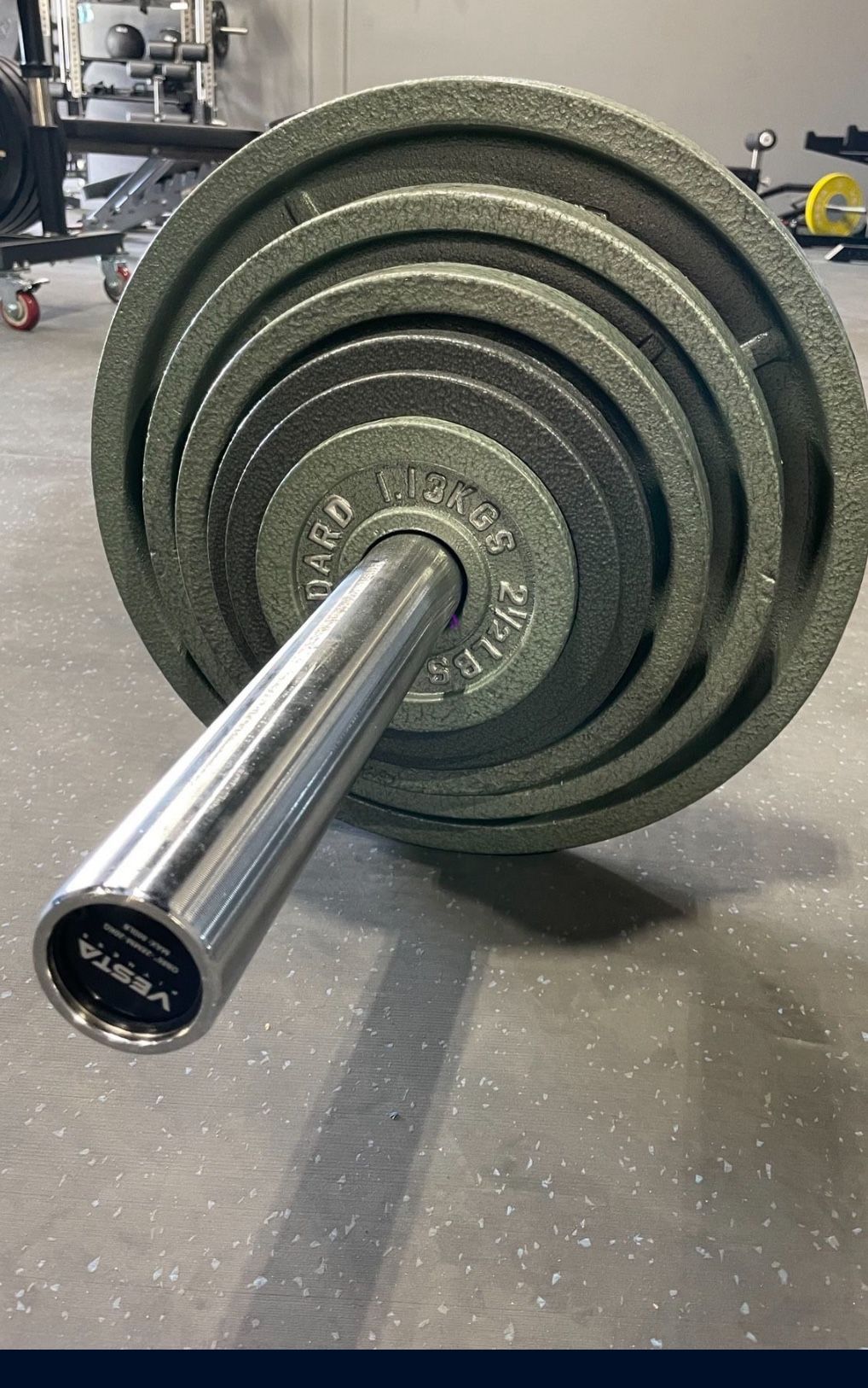 245lb Set of Cast Iron plates
