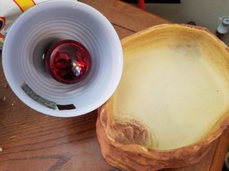 Reptile bowl an light