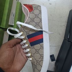 Gucci Shoes 