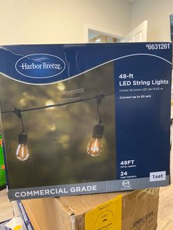 48-ft Plug-in Black Indoor/Outdoor String Light with 24 White -Light LED Edison Bulbs