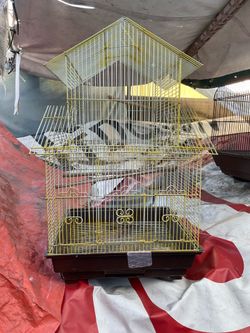 Bird Cage