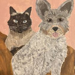 Pet Portraits 
