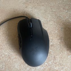 Mouse
