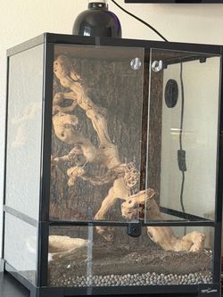 Reptizoo Terrarium