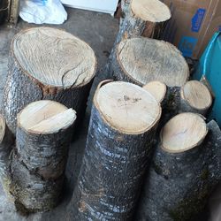 Wood  Need To Dry More For Better Burning 