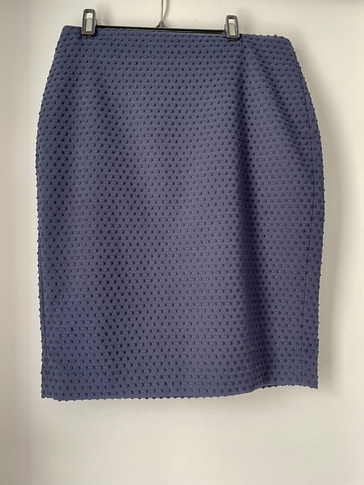 Navy Skirt