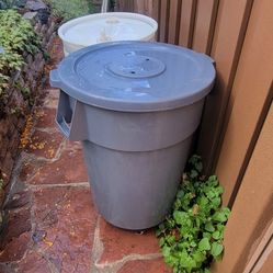 55 Gallon Drum Freshwater With Wheels