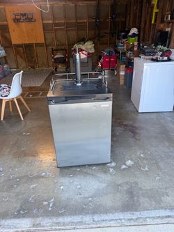 Insignia Stainless Steel Kegerator